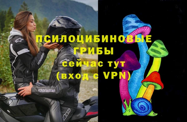 ALPHA PVP Гусь-Хрустальный
