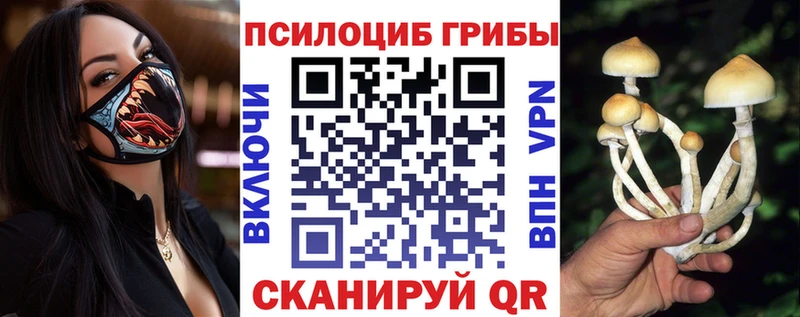 Купить закладки  Шатура  Псилоцибиновые грибы ЛСД 